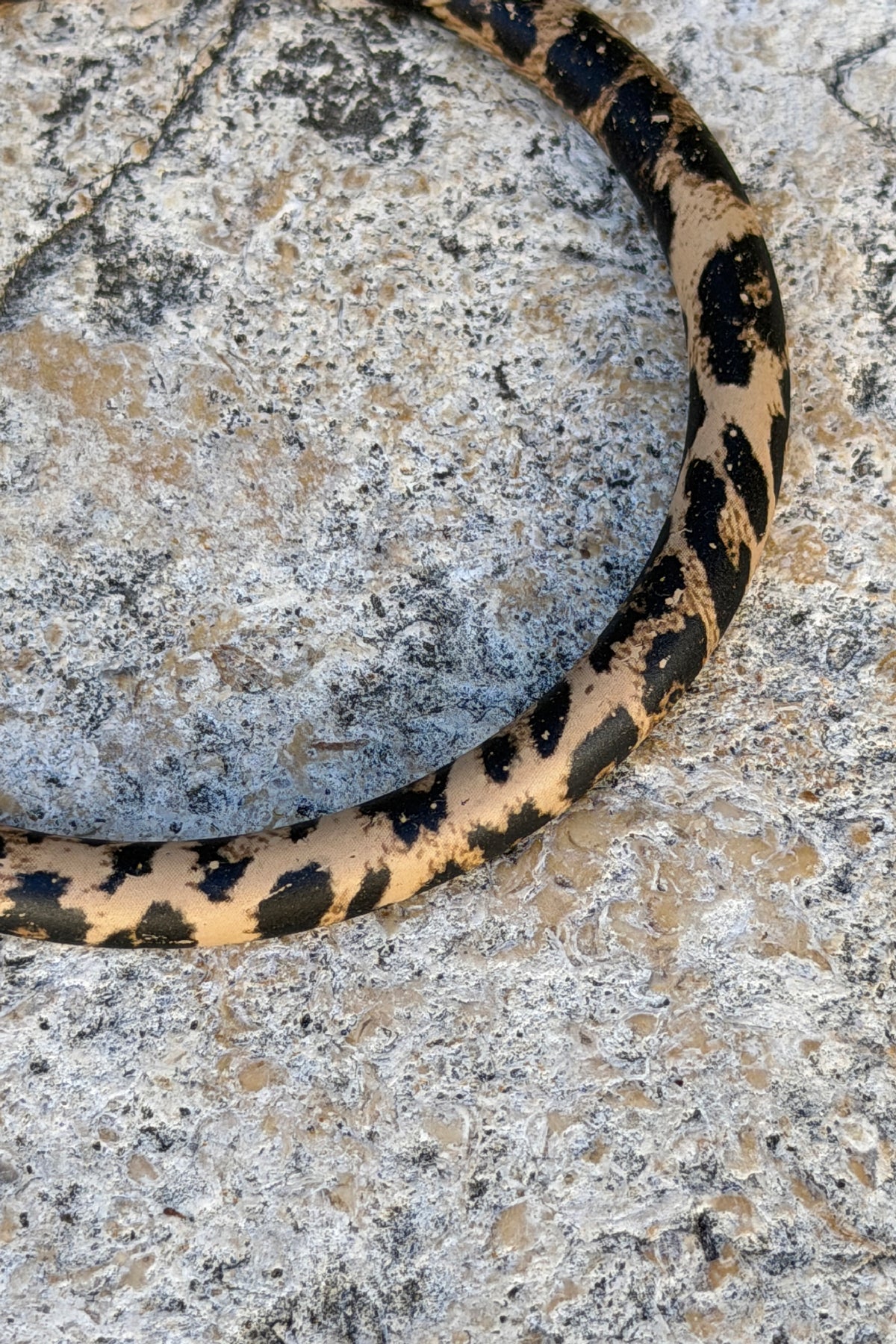 Leopard Print Slim Bangle