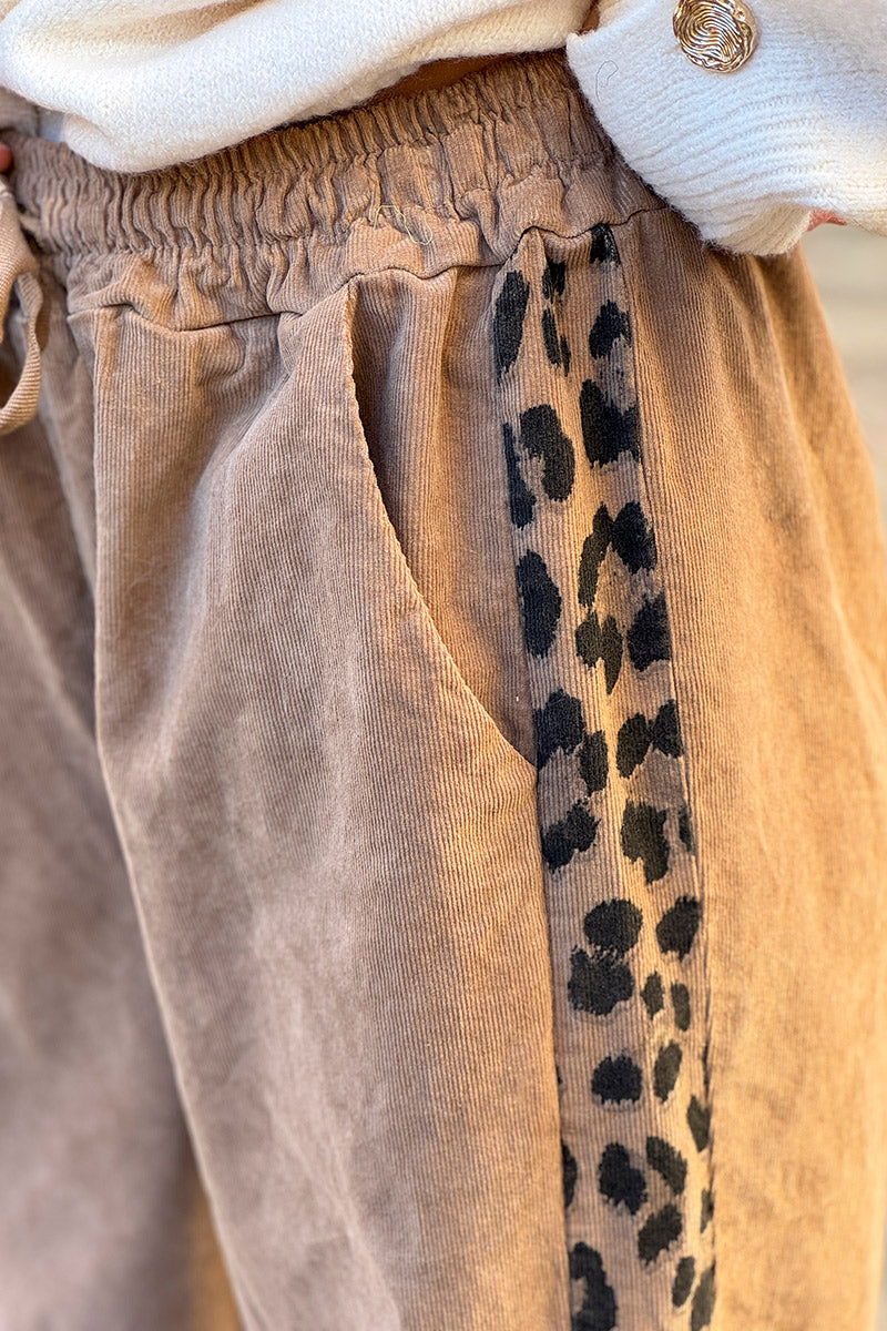 Camel Brushed Stretch Poplin Leopard Stripe Pants