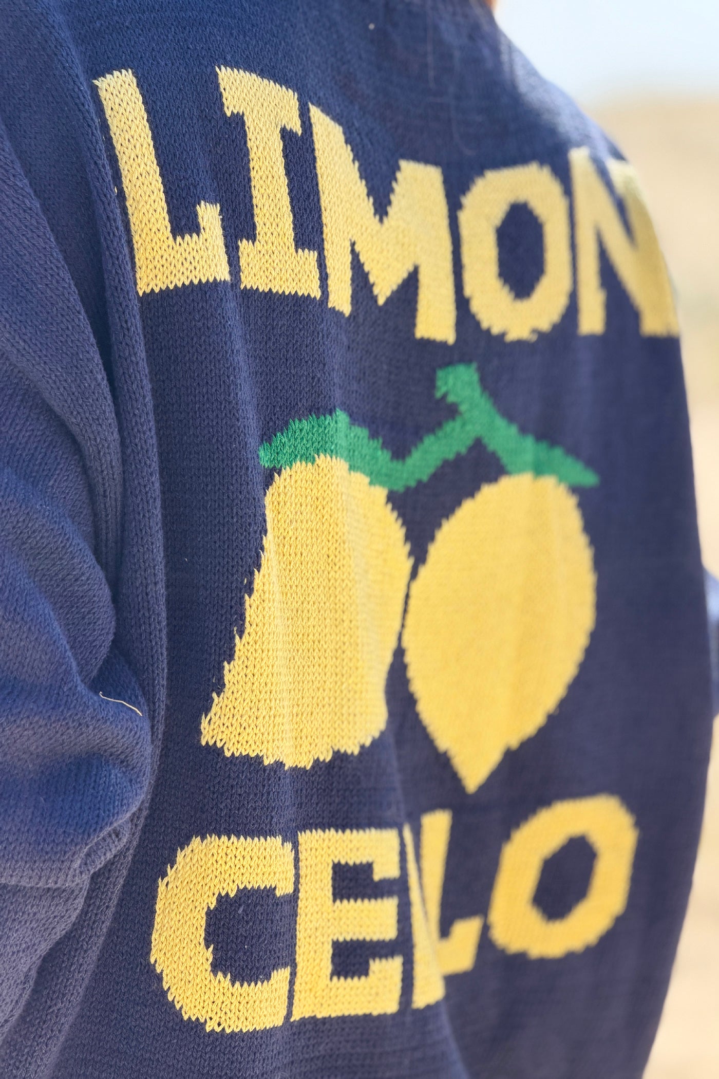 Navy blue Limoncello Knit Sweater