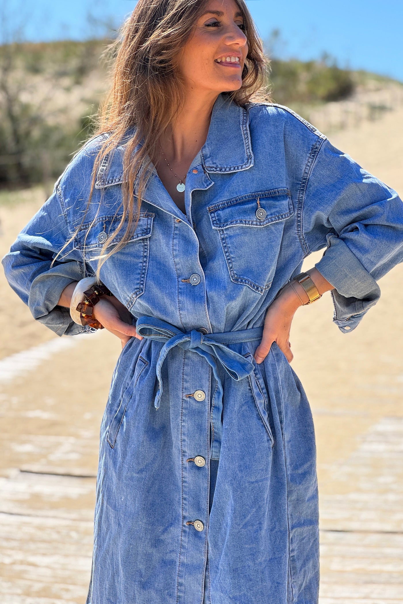 Chambray Denim Belted Dress