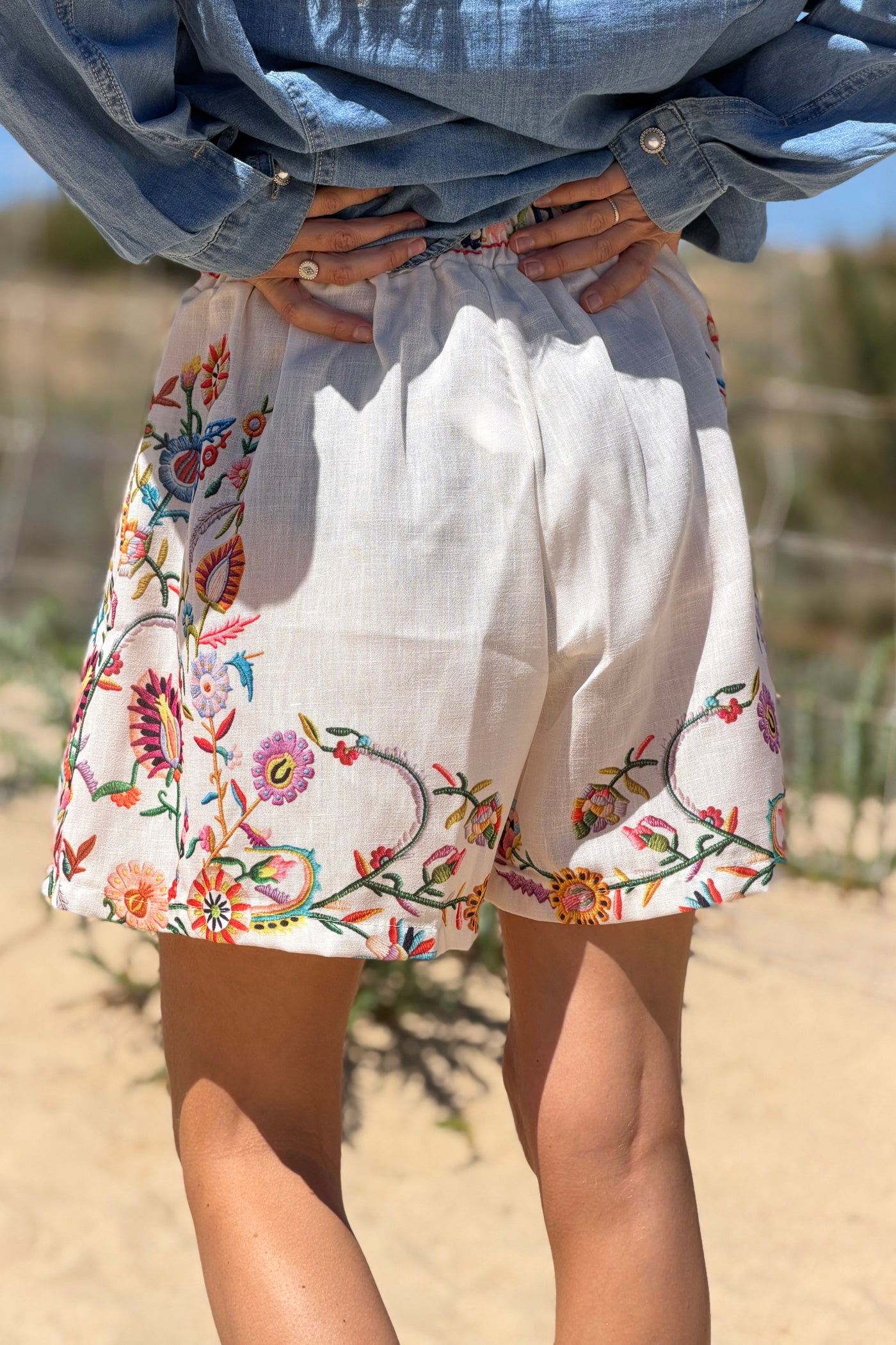 Beige Embroidered Folk Garden Pull-On Shorts