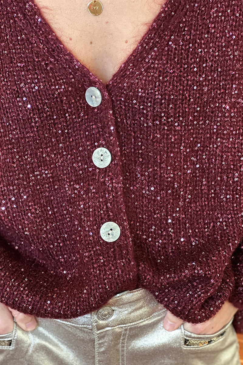 Burgundy Sparkle Knit Button-Down Cardigan