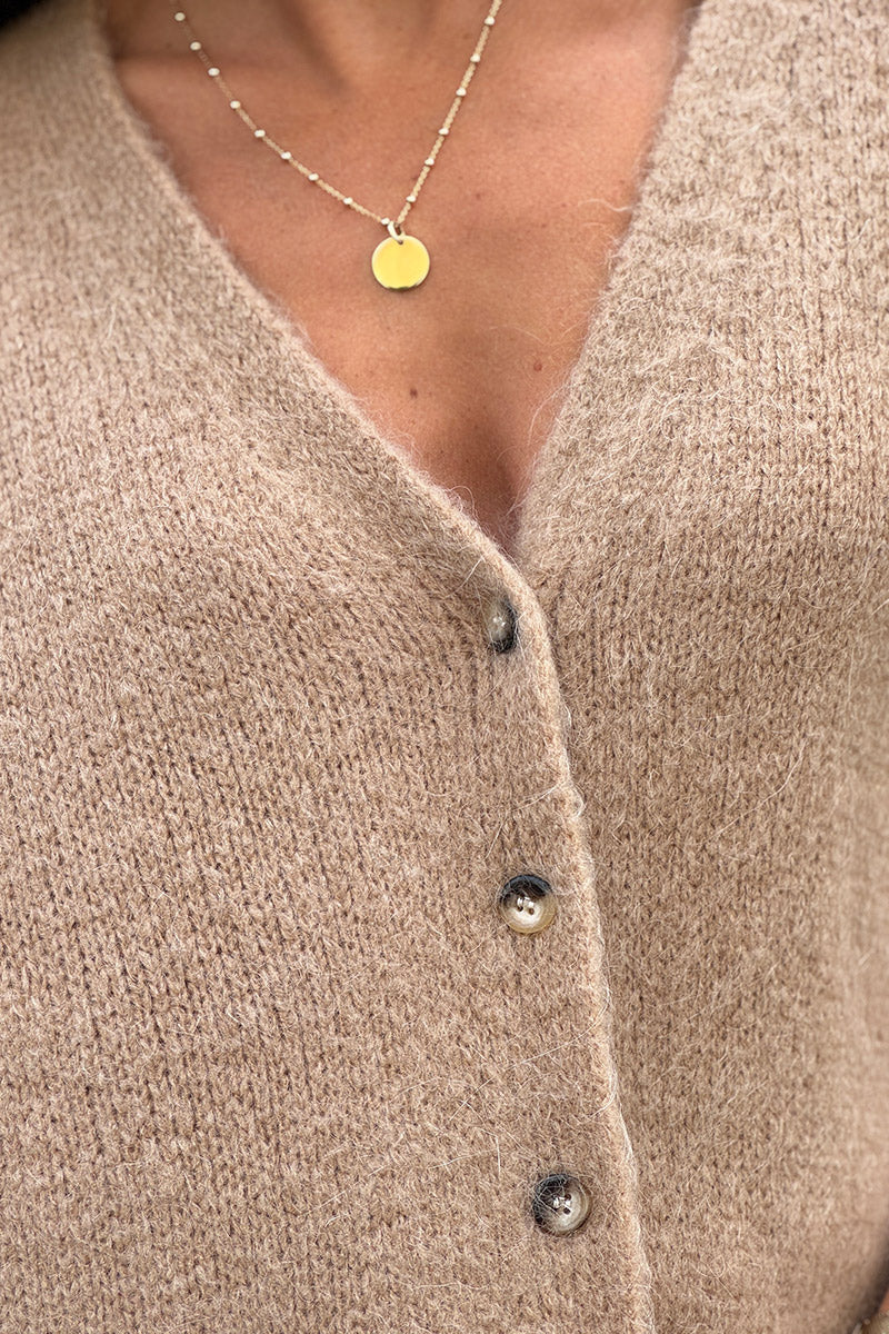Camel Soft Knit Wool Blend Vest
