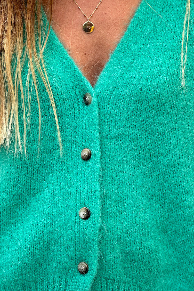 Gilet sans manches vert menthe en maille moelleuse kid mohair boutons écaille