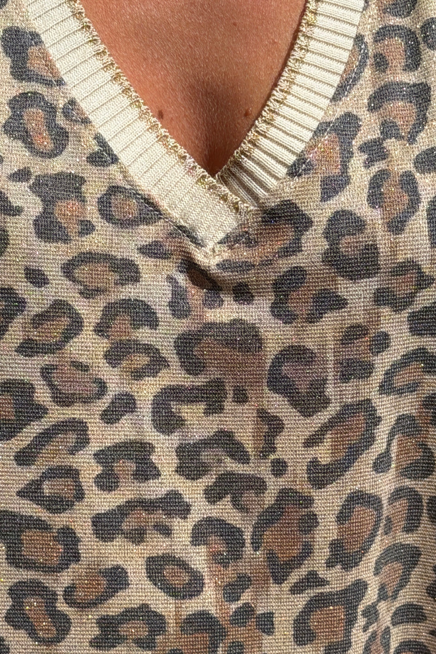 Leopard Print Sleeveless V-Neck Maxi Dress
